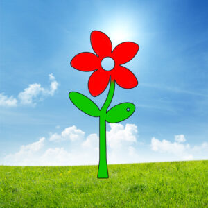 Boterbloem XS (30cm)