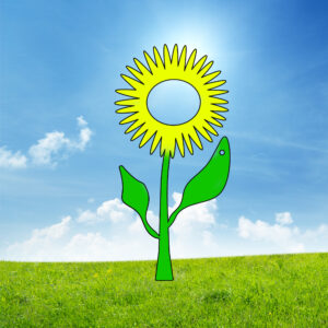 Zonnebloem